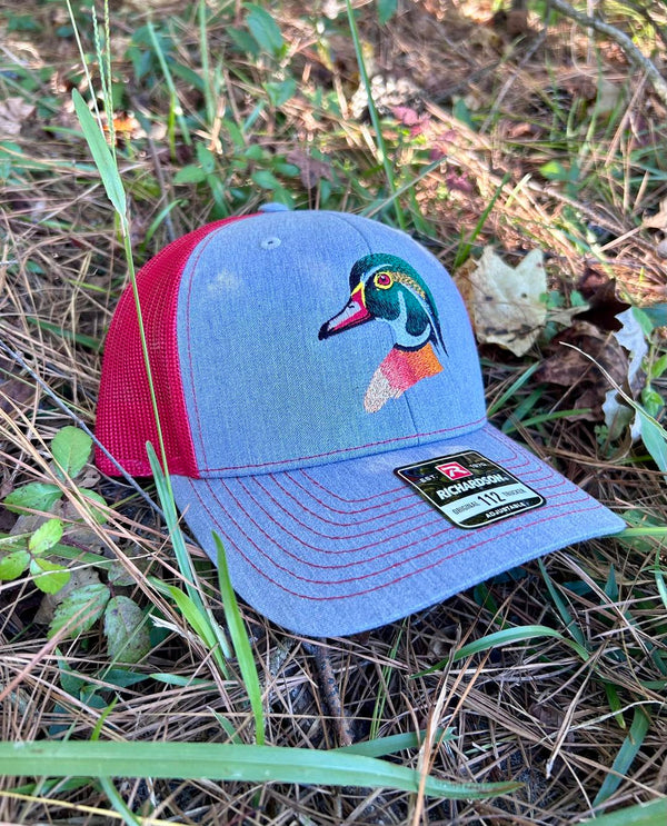 Wood Duck