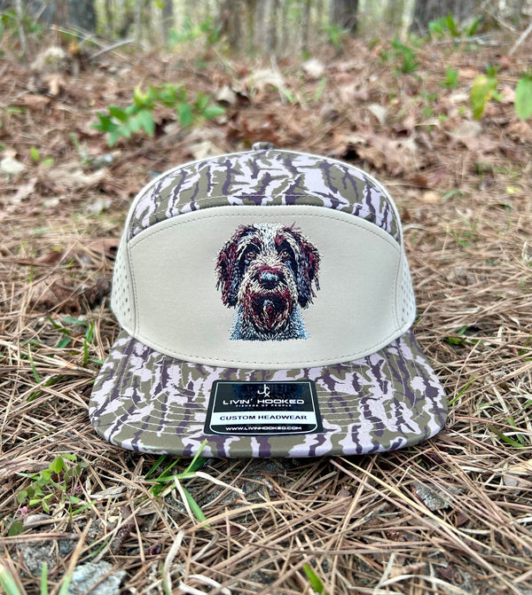 German Wirehaired Pointer